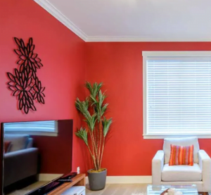 Paint Walls