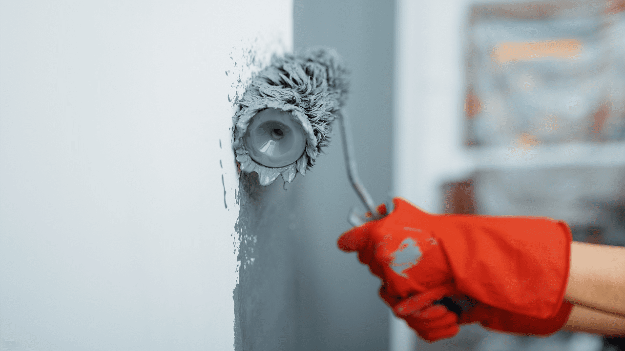 Repair Paints